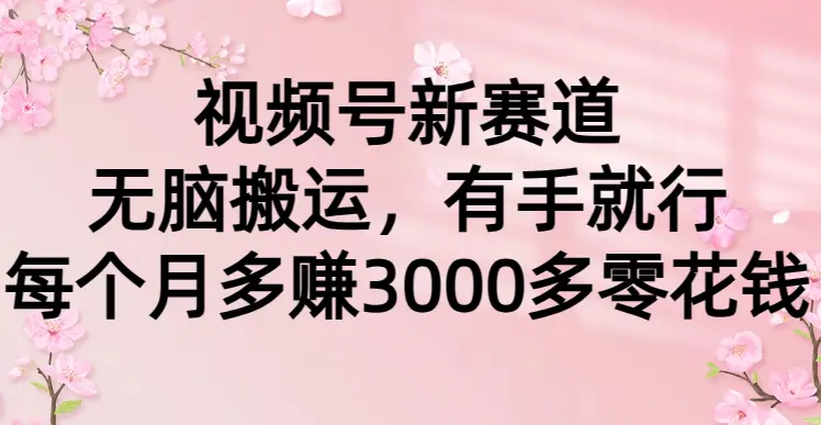 （9278期）视频号新赛道，无脑搬运，有手就行，每个月多赚3000多零花钱