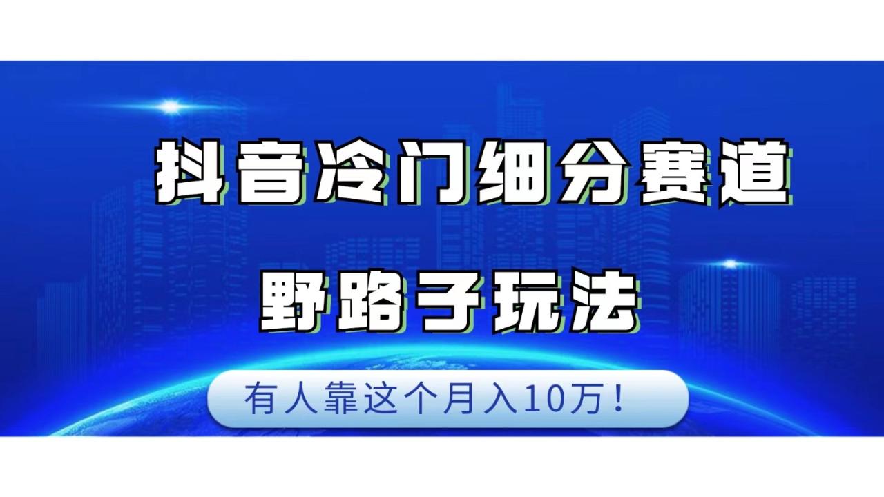 fy1511期-抖音冷门细分赛道野路子玩法，有人靠这个月入10万