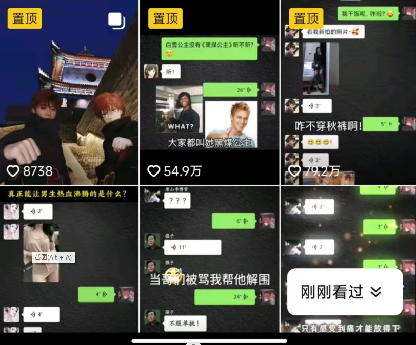 fy1075期-抖音搞笑对话项目详解-涨粉快作品简单，小白轻松上手