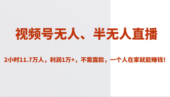 fy1669期-视频号无人、半无人直播2小时11.7万人，利润1万+，不需露脸，一个人在家就能赚钱！