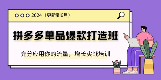 FY4495期-2024拼多多单品爆款打造班，充分应用你的流量，增长实战培训(更新6月)