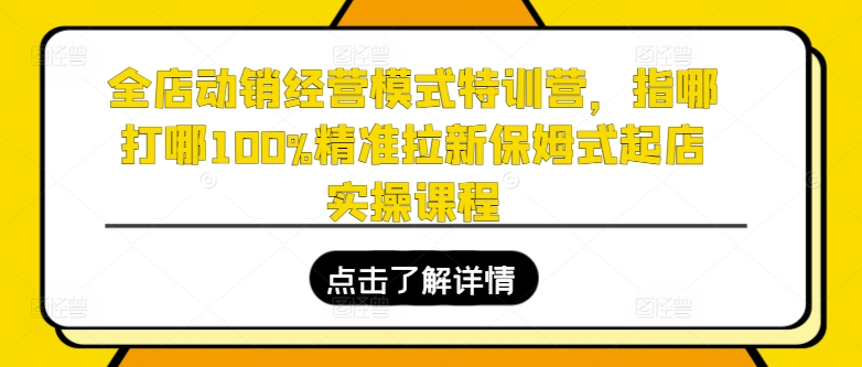 全店动销经营模式特训营，指哪打哪100%精准拉新保姆式起店实操（录音+导图）课程