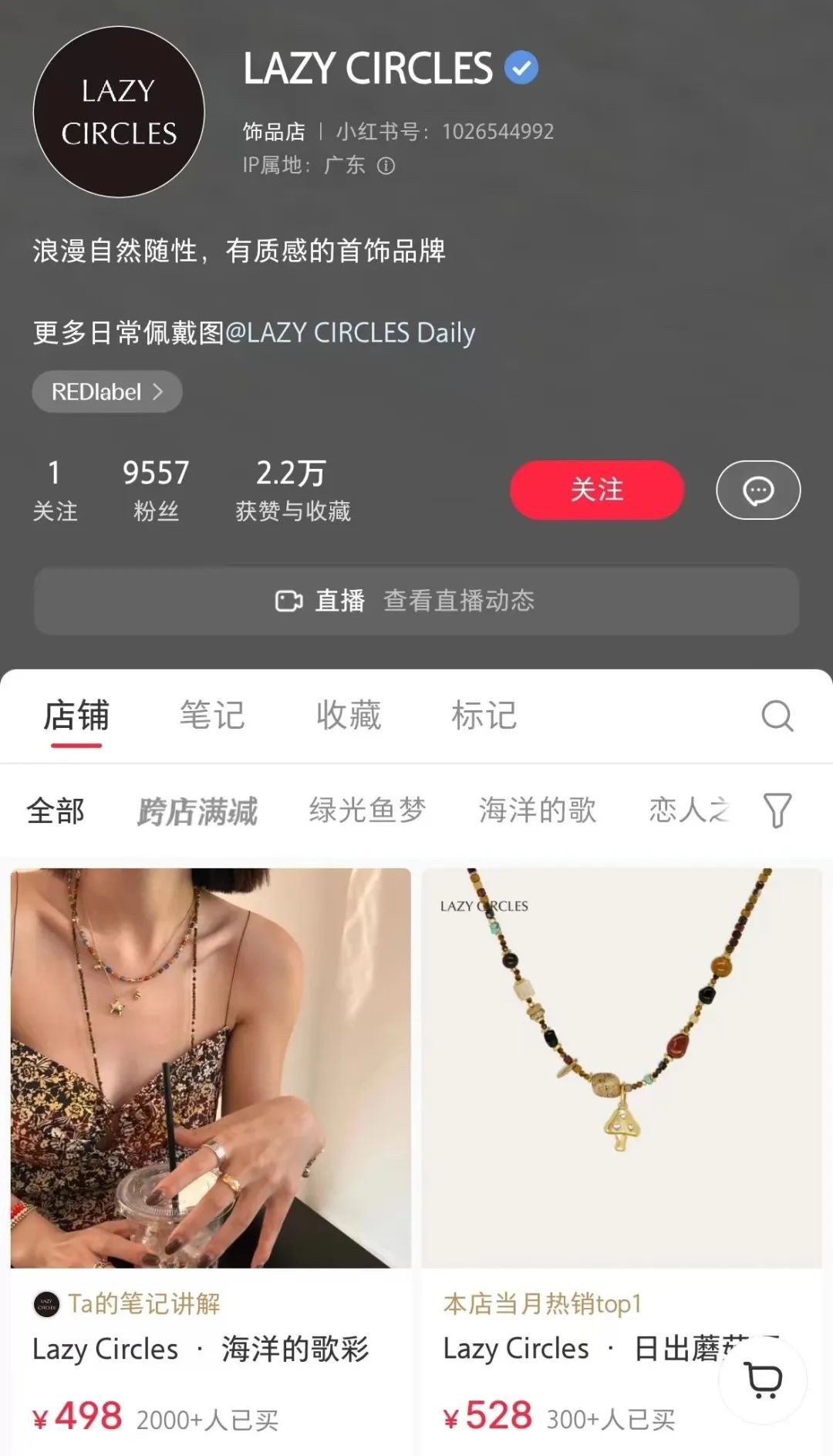 ​小红书9000+粉丝的饰品店，狂销1300W！！！