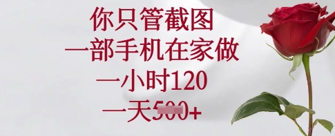 你只管截图，一部手机在家做，一小时120.一天5张