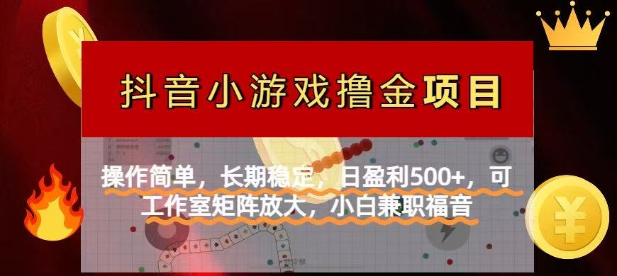 （14290期）【抖音小游戏发行人计划项目】操作简单，长期稳定，日盈利500+，可工作…