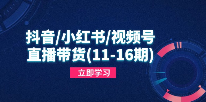 抖音小红书视频号短视频带货与直播变现(11-16期),打造爆款内容，实现高效变现（更新）